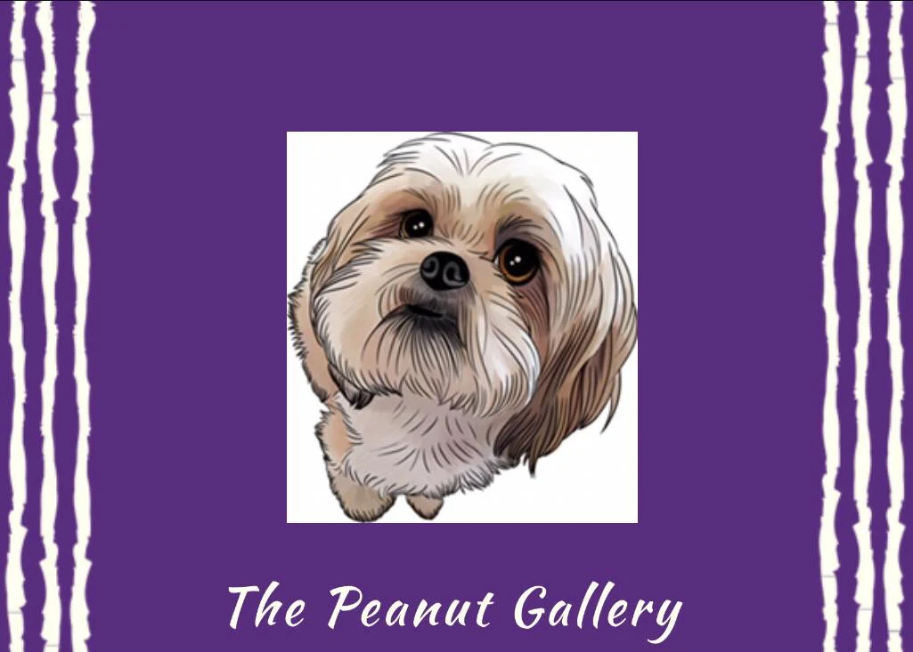 The Peanut Gallery Market